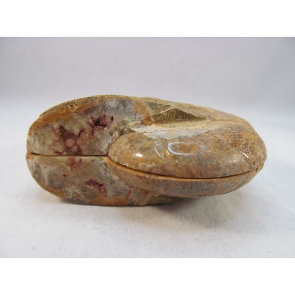 Cut Split Pair Polished Ammonite Fossil Crystal with Stands Small 3" x 2.5" - Picture 4 of 15